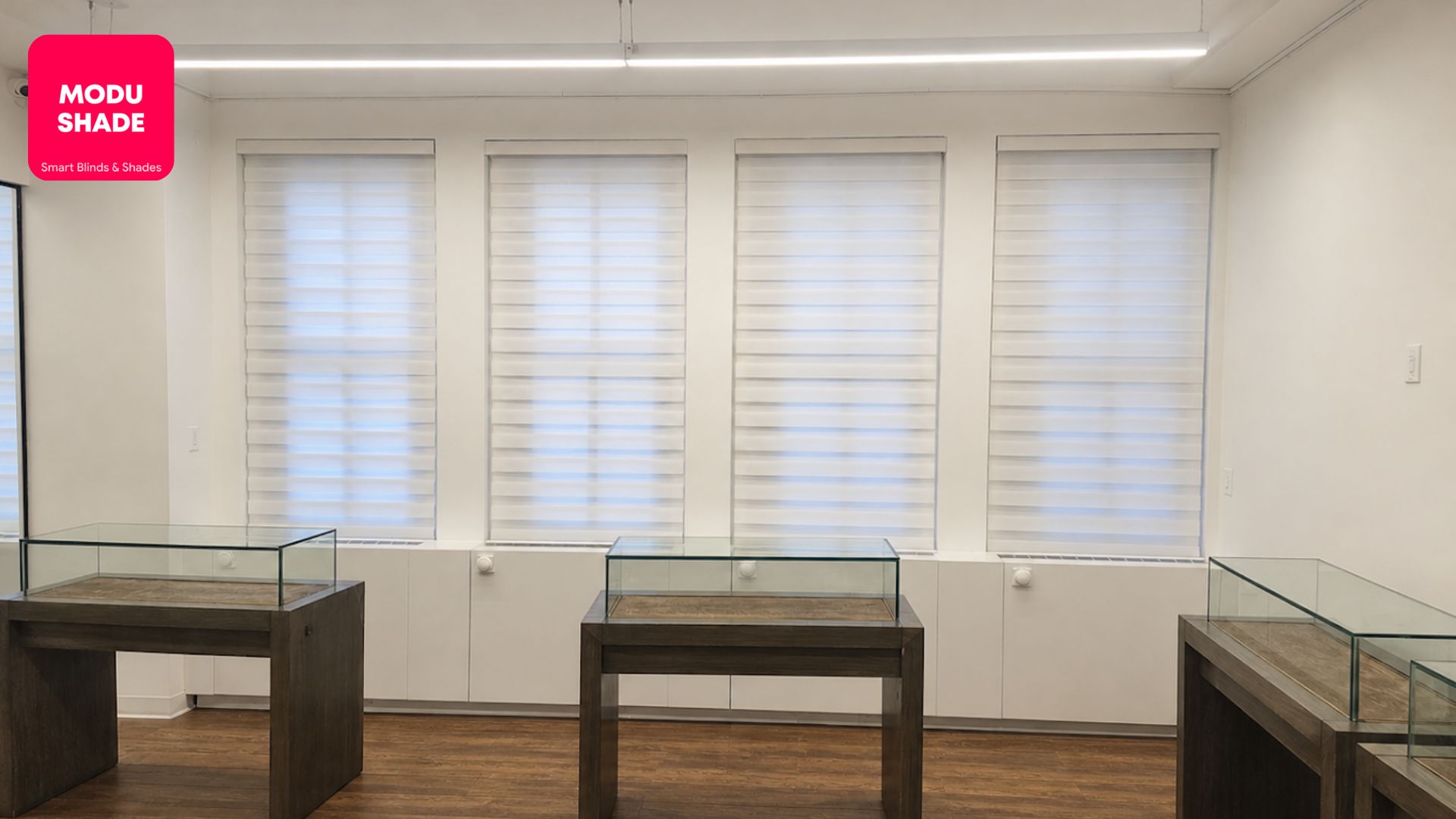 Zebra Shades Installer Cresskill, NJ: A Smarter Way to Manage Light and Privacy